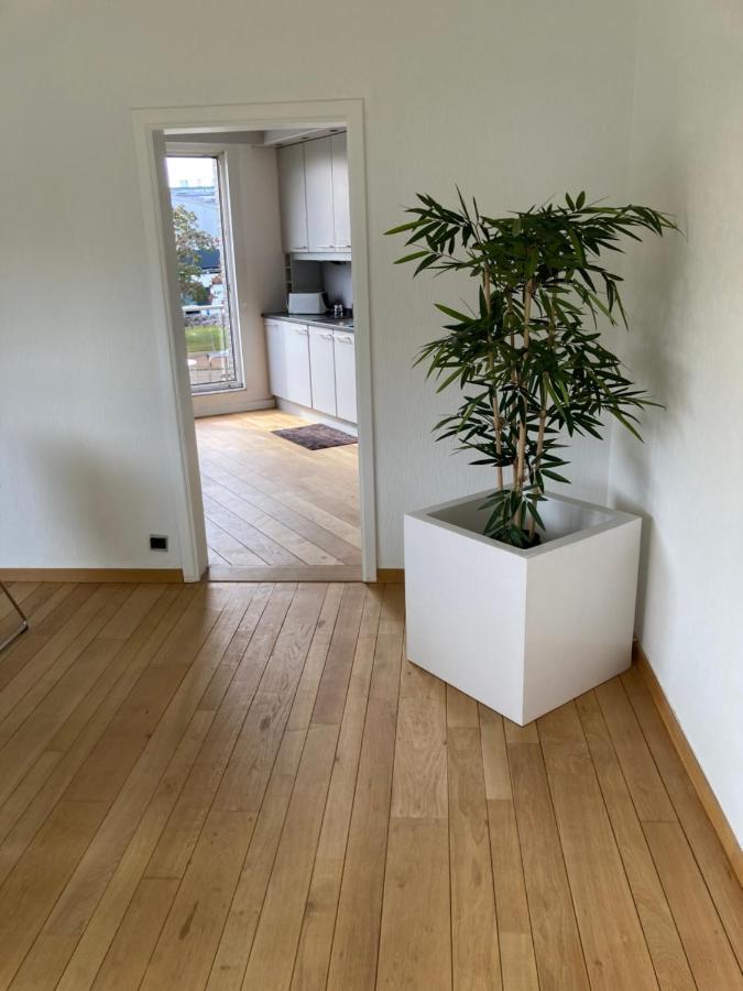 Lichtrijk Mooi Appartement Met Zicht Op Hof Van Roosendael Antwerpen Exteriör bild